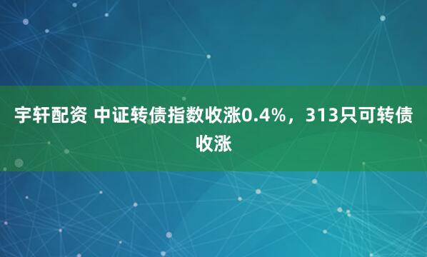 宇轩配资 中证转债指数收涨0.4%，313只可转债收涨